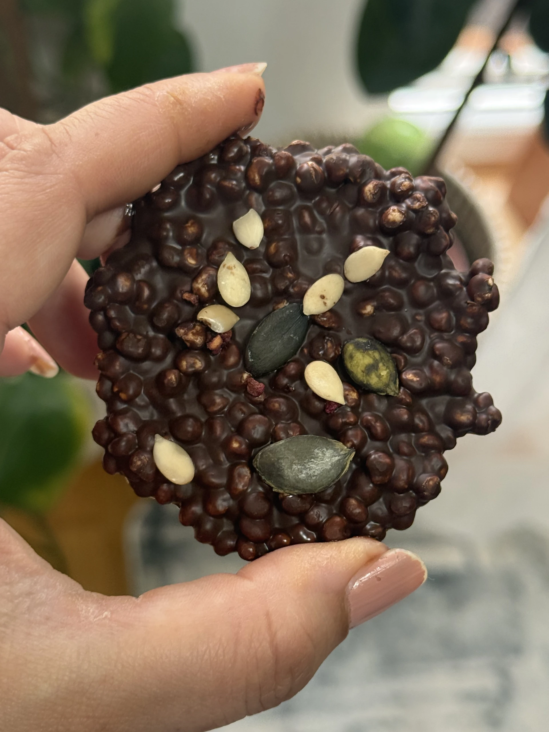 Chocolate Millet Crunches